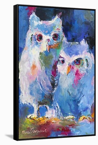 Owls-Richard Wallich-Framed Stretched Canvas