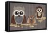 Owls-Erin Clark-Framed Stretched Canvas