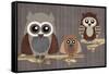 Owls-Erin Clark-Framed Stretched Canvas