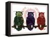 Owls-Teofilo Olivieri-Framed Stretched Canvas