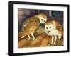 Owls-English School-Framed Giclee Print