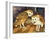 Owls-English School-Framed Giclee Print