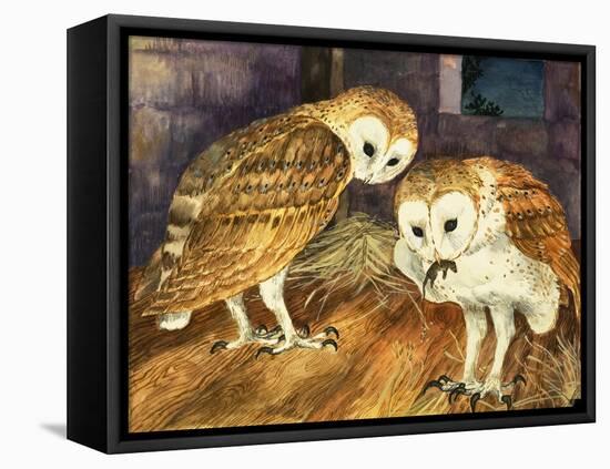 Owls-English School-Framed Stretched Canvas