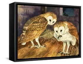 Owls-English School-Framed Stretched Canvas