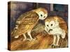 Owls-English School-Stretched Canvas