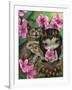 Owlyn in the Springtime-Jasmine Becket-Griffith-Framed Art Print