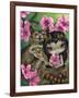 Owlyn in the Springtime-Jasmine Becket-Griffith-Framed Art Print