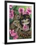 Owlyn in the Springtime-Jasmine Becket-Griffith-Framed Art Print