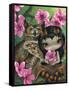 Owlyn in the Springtime-Jasmine Becket-Griffith-Framed Stretched Canvas