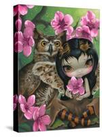 Owlyn in the Springtime-Jasmine Becket-Griffith-Stretched Canvas