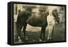 Owner Next to Horse with Hat-null-Framed Stretched Canvas