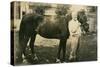 Owner Next to Horse with Hat-null-Stretched Canvas