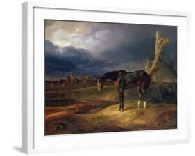 Ownerless Horse on the Battlefield at Moshaisk in 1812, 1834-Albrecht Adam-Framed Giclee Print