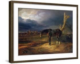 Ownerless Horse on the Battlefield at Moshaisk in 1812, 1834-Albrecht Adam-Framed Giclee Print