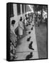 Owners with Their Black Cats, Waiting in Line For Audition in Movie "Tales of Terror"-Ralph Crane-Framed Stretched Canvas