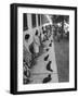 Owners with Their Black Cats, Waiting in Line For Audition in Movie "Tales of Terror"-Ralph Crane-Framed Premium Photographic Print