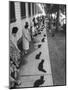 Owners with Their Black Cats, Waiting in Line For Audition in Movie "Tales of Terror"-Ralph Crane-Mounted Premium Photographic Print