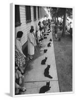 Owners with Their Black Cats, Waiting in Line For Audition in Movie "Tales of Terror"-Ralph Crane-Framed Photographic Print