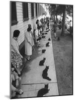 Owners with Their Black Cats, Waiting in Line For Audition in Movie "Tales of Terror"-Ralph Crane-Mounted Photographic Print