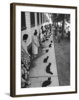 Owners with Their Black Cats, Waiting in Line For Audition in Movie "Tales of Terror"-Ralph Crane-Framed Photographic Print