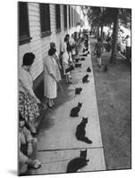 Owners with Their Black Cats, Waiting in Line For Audition in Movie "Tales of Terror"-Ralph Crane-Mounted Photographic Print