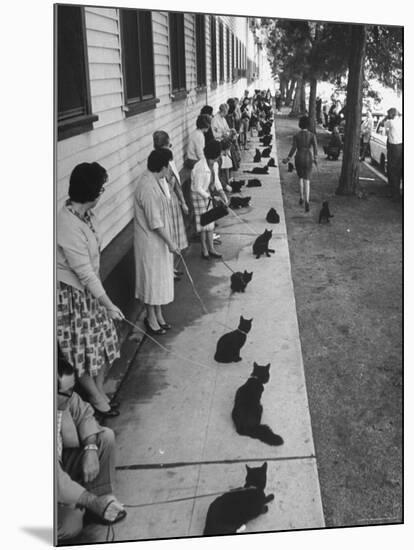 Owners with Their Black Cats, Waiting in Line For Audition in Movie "Tales of Terror"-Ralph Crane-Mounted Photographic Print