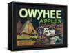 Owyhee Apple Crate Label - Nampa, ID-Lantern Press-Framed Stretched Canvas