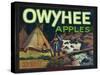 Owyhee Apple Crate Label - Nampa, ID-Lantern Press-Stretched Canvas