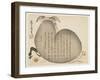 Ox and Flower Petals, January 1853-Ko Sukoku II-Framed Giclee Print