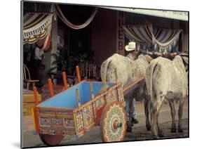 Ox Cart in Artesan Town of Sarchi, Costa Rica-Stuart Westmoreland-Mounted Premium Photographic Print