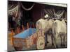 Ox Cart in Artesan Town of Sarchi, Costa Rica-Stuart Westmoreland-Mounted Photographic Print