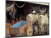 Ox Cart in Artesan Town of Sarchi, Costa Rica-Stuart Westmoreland-Mounted Photographic Print