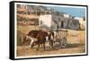 Ox Cart, Laguna Pueblo, New Mexico-null-Framed Stretched Canvas