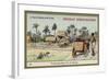 Ox Cart Ride on the Island of Borneo-null-Framed Giclee Print