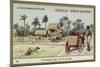 Ox Cart Ride on the Island of Borneo-null-Mounted Giclee Print