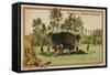 Ox Cart-null-Framed Stretched Canvas