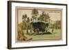 Ox Cart-null-Framed Giclee Print