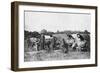 Ox Carts, Cochin China, Vietnam, 20th Century-null-Framed Giclee Print