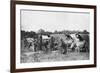 Ox Carts, Cochin China, Vietnam, 20th Century-null-Framed Giclee Print