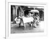 Ox-Drawn Cart, India, C.1907-null-Framed Photographic Print