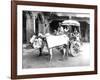 Ox-Drawn Cart, India, C.1907-null-Framed Photographic Print