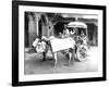 Ox-Drawn Cart, India, C.1907-null-Framed Photographic Print