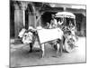 Ox-Drawn Cart, India, C.1907-null-Mounted Photographic Print