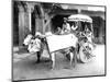Ox-Drawn Cart, India, C.1907-null-Mounted Photographic Print