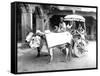 Ox-Drawn Cart, India, C.1907-null-Framed Stretched Canvas