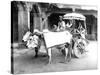 Ox-Drawn Cart, India, C.1907-null-Stretched Canvas