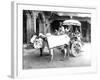 Ox-Drawn Cart, India, C.1907-null-Framed Photographic Print