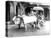 Ox-Drawn Cart, India, C.1907-null-Stretched Canvas