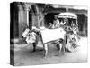 Ox-Drawn Cart, India, C.1907-null-Stretched Canvas