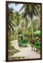 Ox Drawn Cart Taxi, L'Union Estate Plantation, La Digue, Seychelles-Jon Arnold-Framed Photographic Print